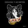 Cenizas y Aciertos - Single