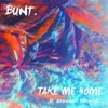 Take Me Home (feat. Alexander Tidebrink) - Single, 2017