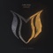 Danger (Extended Mix) - Cyril Ryaz lyrics