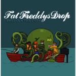 Fat Freddy's Drop - Ray Ray