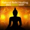 Spa Music Collective - Reiki Healing Music Consort lyrics