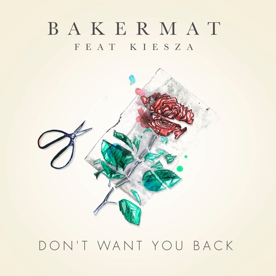 Cover artwork for Don't Want You Back (feat. Kiesza)