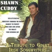 A Tribute to Great Irish Songwriters artwork