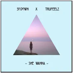 She Wanna (feat. TruFeelz) - Single by SoDown album reviews, ratings, credits