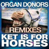 Ket Is for Horses (2017 Remixes)