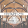What a Beautiful Name - Voices of Lee
