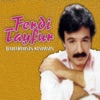 Ferdi Tayfur - Kadehte Teselli Buldum