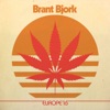 Brant Bjork - Low Desert Punk