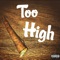 Too High - Fryenation lyrics