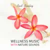 Relaxing Instrumental Sounds for Wellness album lyrics, reviews, download