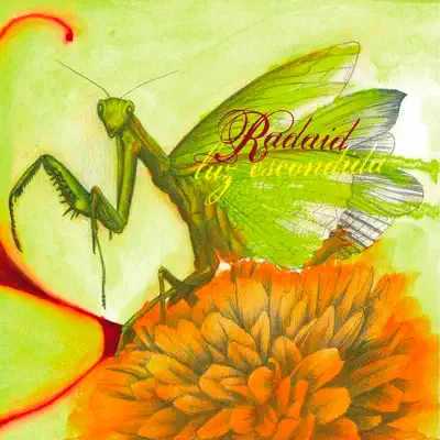 Luz Escondida - Radaid Luz Escondida - Radaid