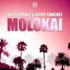 Stream & download Molokai - Single