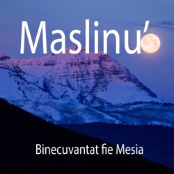 Maslinu' - Ninge Pe Strazi