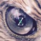 My Eyes - Zoo St. lyrics