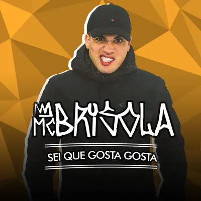 Sei Que Gosta Gosta - Single - MC Brisola