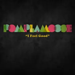 I Feel Good - Single by Pomplamoose album reviews, ratings, credits