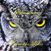 Illuminumb - Somnus Aeternam