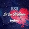 Se Fue el Amor (feat. La Energia Norteña) - BXS lyrics