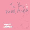 To You, Never Again artwork