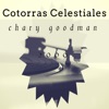 Cotorras Celestiales