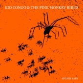 Kid Congo & the Pink Monkey Birds - Apple In The Razor Blade