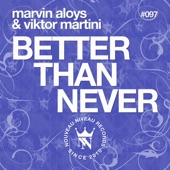 Better Than Never (Schegg Remix) artwork
