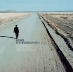 Echo & The Bunnymen - What Are You Going to Do with Your Life?