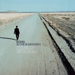 What Are You Going To Do With Your Life? - Echo & The Bunnymen