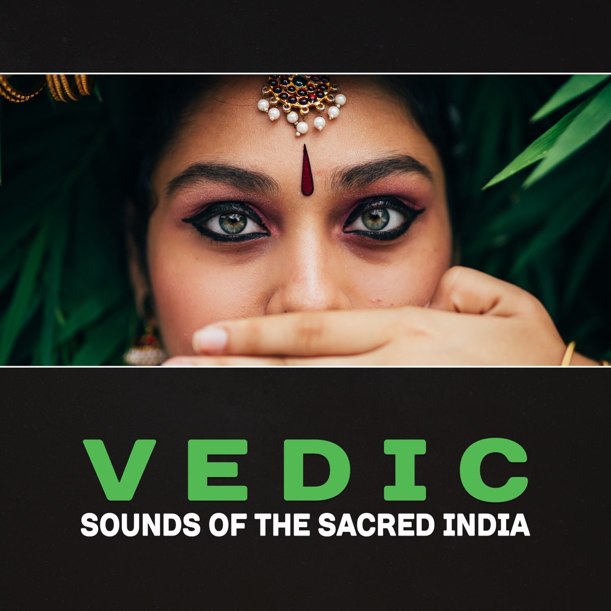 ‎Vedic: Sounds Of The Sacred India – Vedic Practice, India Meditation ...