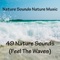 Silent Morning - Nature Sounds Nature Music lyrics