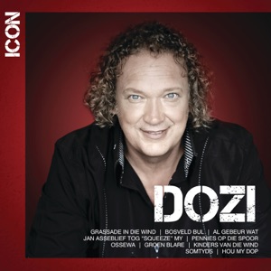 Dozi - Pennies Op Die Spoor - Line Dance Music