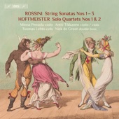 Rossini: Sonatas for Strings Nos. 1-3 - Hoffmeister: Double Bass Quartets Nos. 1 & 2 artwork
