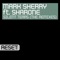 Silent Tears (feat. Sharone) [DJ Mog Remix] - Mark Sherry lyrics
