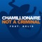 Not a Criminal (feat. Kelis) - Chamillionaire featuring Kelis lyrics