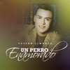 Un Perro Enamorado - Single