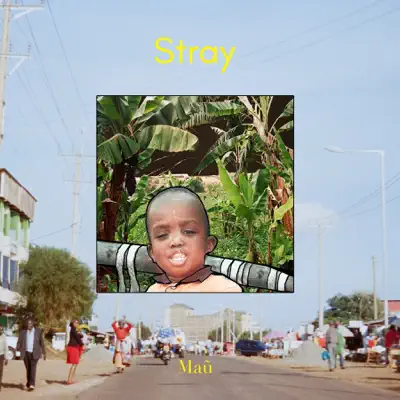 Stray - Single - Mau