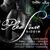 Pleasure Riddim artwork