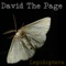 UnDo - David the Page lyrics