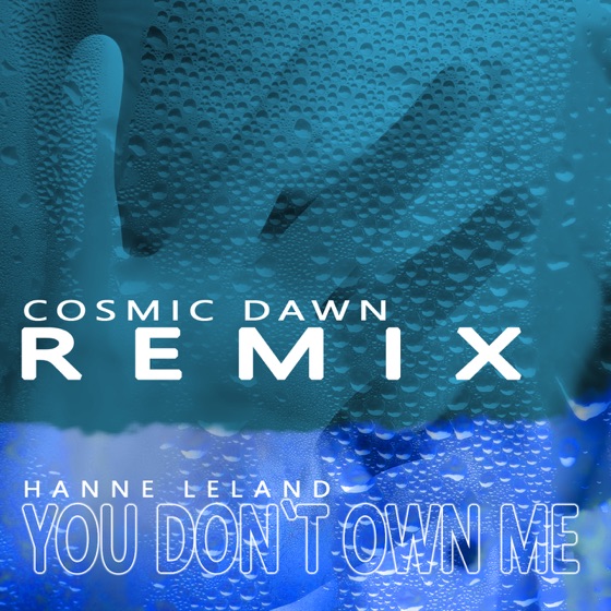 Cover artwork for You Don't Own Me