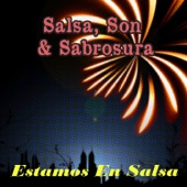 Estamos en Salsa artwork