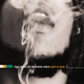 Ziggy Marley And The Melody Makers - One Good Spliff