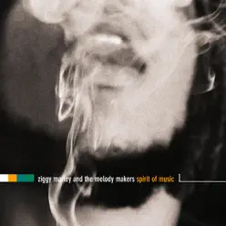 Spirit of Music - Ziggy Marley & The Melody Makers