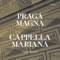 Gia fu chi m'hebbe cara - Cappella Mariana & Vojtěch Semerád lyrics