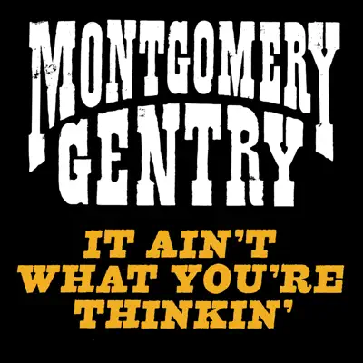 It Ain't What You're Thinkin' - Single - Montgomery Gentry