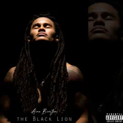 The Black Lion by Aina Brei'Yon album reviews, ratings, credits