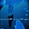 Frozen Ocean Piracy / Shipwreck (feat. Auxxk) - Tyrant Xenos lyrics