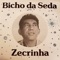 Lugar Secreto - Zecrinha lyrics