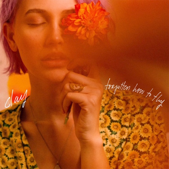 Cover artwork for Forgotten How to Fly
