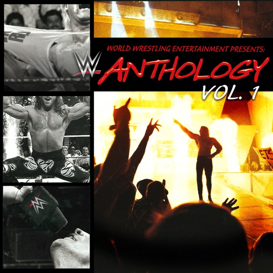 Cover artwork for Enough Is Enough (Owen Hart)