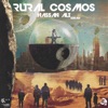 Rural Cosmos